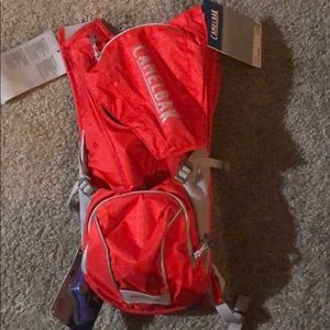 Camelbak Rogue 2.5L
